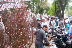 Người Bắc ở Sài Gòn