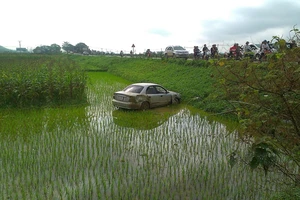 Xe ô tô con đi chúc tết bay xuống ruộng như phim