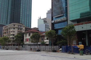 Có nên thay cây giáng hương trên đường Nguyễn Huệ?