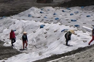 EVN xin lỗi về vụ ô nhiễm từ nhà máy Vĩnh Tân 2 