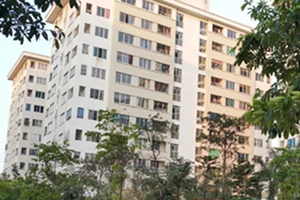 Bé 4 tháng tuổi bị mẹ ruột đang điều trị tâm thần sát hại