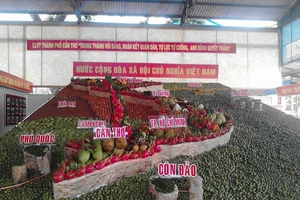 Chiêm ngưỡng bản đồ Việt Nam được kết bằng... 2 tấn trái cây