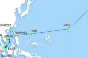 Cáp quang biển AAG lại đứt, Internet lại chậm