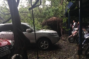 Ít nhất 1 người chết, hàng chục người nhập viện trong cơn giông ở Hà Nội