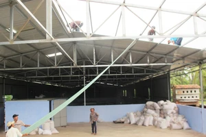 Hủy hợp đồng của vợ bí thư huyện cho thuê đất trái phép