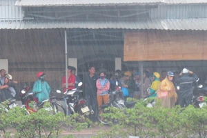 Hàng trăm người trú mưa chứ không chịu rời hiện trường vụ thảm sát