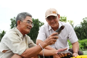 Trở lại Đồng chó ngáp - Kỳ 3: Trời cho 'một bụi đỏ'