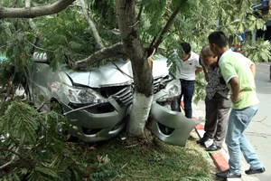 Innova 7 chỗ bẹp dúm sau khi tông gẫy đôi cây trên phố Hà Nội 