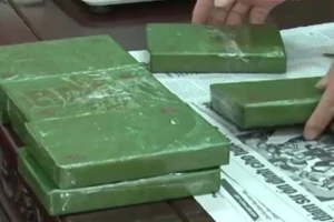 Cử nhân sư phạm đi buôn 8 bánh heroin