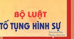 Một số ý kiến về quyền của người bị bắt, bị tạm giữ, bị can, bị cáo