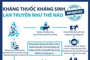 WHO khuyến cáo 5 điểm cần lưu ý khi sử dụng thuốc kháng sinh