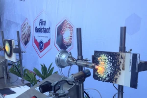 Lạ lùng sơn chống cháy làm từ... vỏ trấu