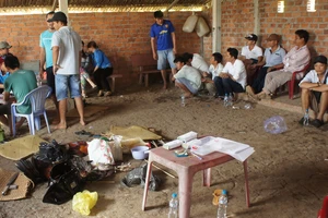 Triệt phá trường gà miệt vườn, thu giữ 800 triệu đồng tiền mặt