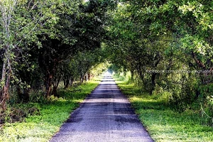 Những cung đường đẹp ngất ngây ở Việt Nam