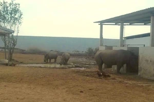 Long An: Vườn thú Mỹ Quỳnh chỉ còn tám cá thể thú