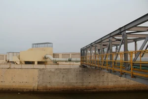 Vụ cá chết hàng loạt: Bộ Công Thương làm việc với Formosa