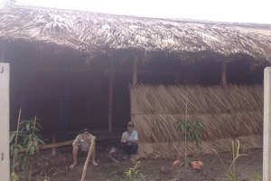 Lộ diện hình ảnh căn chòi vịt của ông Nguyễn Văn Bỉ 