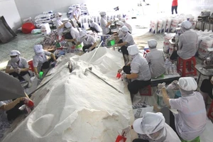 Công bố chất lượng muối ăn ở biển miền Trung sau vụ cá chết