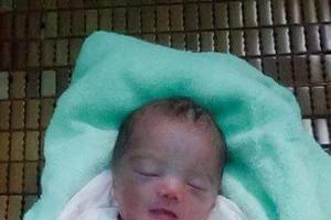 Phát hiện bé gái sơ sinh bị bỏ ở bụi chuối sau nhà trọ