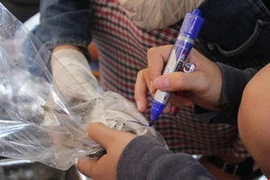 Ăn cá nục chứa phenol ở Quảng Trị không ảnh hưởng đến sức khỏe