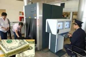 Xuất nhập cảnh mang theo tiền và ngoại tệ: Trường hợp nào bị phạt?