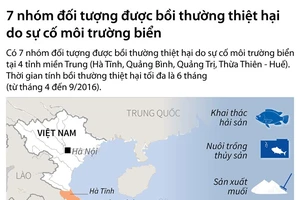 Infographic: 7 nhóm được bồi thường do sự cố cá chết