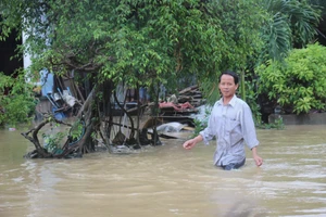 Người dân Bình Định trắng đêm chạy lũ