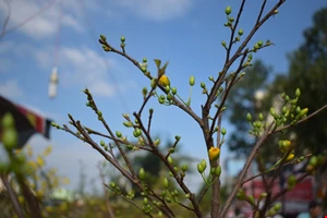 Phiên tòa cuối năm, người cha và hai đứa trẻ...