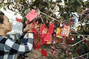 Quảng Ngãi: Ngư dân hái lộc cầu an ngày mùng 1 tết