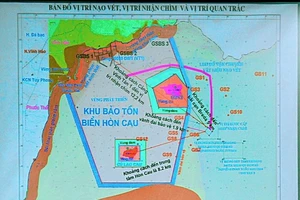 Vụ nhận chìm: Thêm 1 thạc sĩ phản ứng vì bị mạo danh