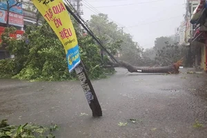 Bão số 12 gây thiệt hại khủng khiếp như thế nào?