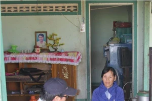 Giấc mơ bên động Bầu Lầu