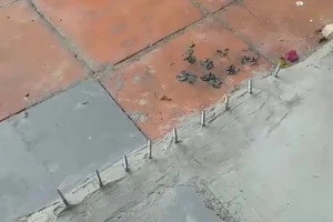 Đã đập bỏ hàng đinh nhọn trên vỉa hè khiến dân mạng dậy sóng 