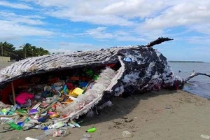 3 gợi ý để bạn tuyên chiến với rác thải nhựa