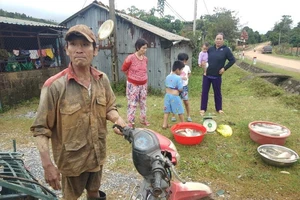 Người đàn ông hớt hải chạy ra từ vùng núi lở ở Quảng Trị