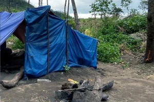 Đứa trẻ 10 tuổi, tiếng súng và trách nhiệm của chúng ta