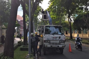 Không nên cắt tỉa nhánh cây xanh đường phố vào giờ cao điểm