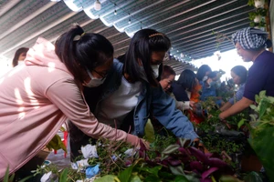 TP.HCM: Phiên chợ xanh 0 đồng lan tỏa thú vui trồng cây