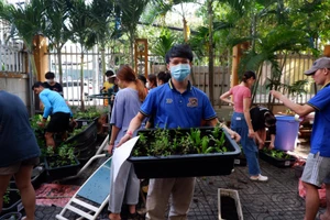 TP.HCM: Sinh viên Lào trồng cây rau thuốc nam tạo mảng xanh tại ký túc xá