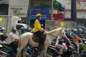 Từ vụ 'bạch mã hoàng tử' ở TP.HCM: Có được dẫn ngựa ra đường?