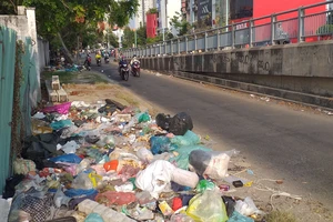 Cầu Him Lam ngập ngụa rác thải, xà bần