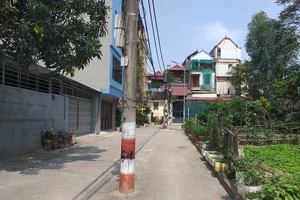 Cần di dời những cây trụ điện giữa đường