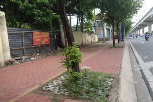 Đường song hành hết nhếch nhác