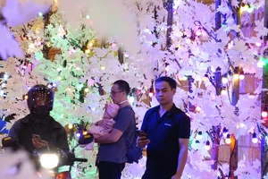 Hang đá được đầu tư hàng trăm triệu đồng để đón giáng sinh 2023