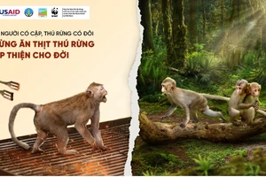 H’Hen Niê và Quang Đăng kêu gọi ngừng ăn thịt thú rừng 