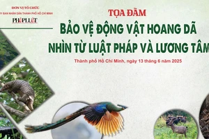 Tọa đàm 'Bảo vệ động vật hoang dã nhìn từ luật pháp và lương tâm' diễn ra vào sáng mai