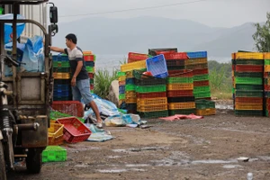 Nồng nặc mùi hôi thối tại điểm danh thắng vịnh Xuân Đài