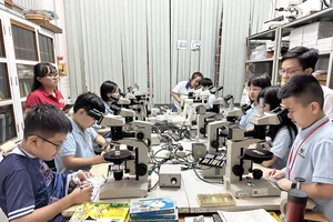 Cuộc phiêu lưu của đá: Học sinh hào hứng khám phá các loại đá quý