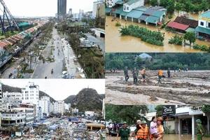 Báo Pháp Luật TP.HCM sớm mang tiền hỗ trợ đến đồng bào phía Bắc bị thiên tai 