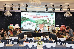 Giải pháp để bà nội trợ an tâm với nông sản Đà Lạt thật trên bàn ăn